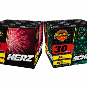 Herz Schlag