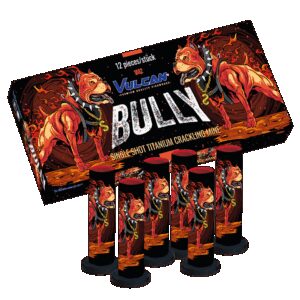 Bully
